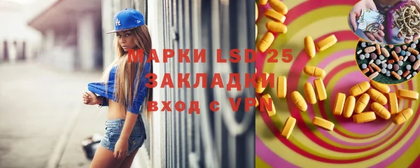 гидра Туринск