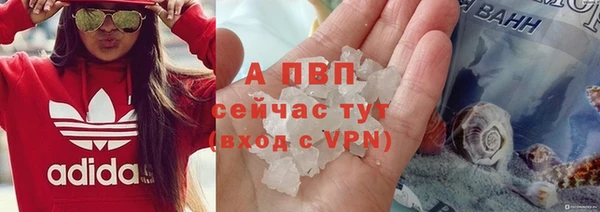 прущие крисы Тында
