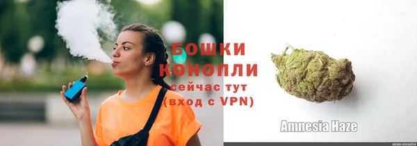 гидра Туринск