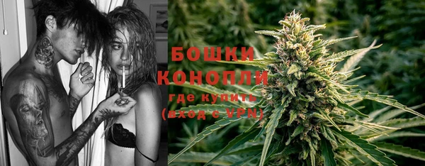 прущие крисы Тында