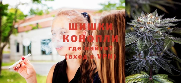 гидра Туринск
