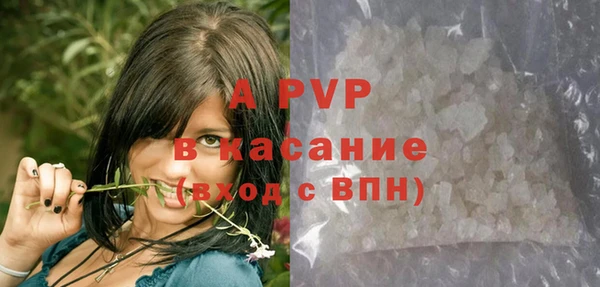 стафф Усинск