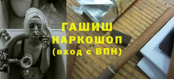 гидра Туринск