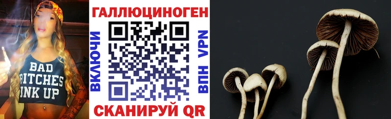 Купить где  Железногорск-Илимский  Псилоцибиновые грибы мухоморы 